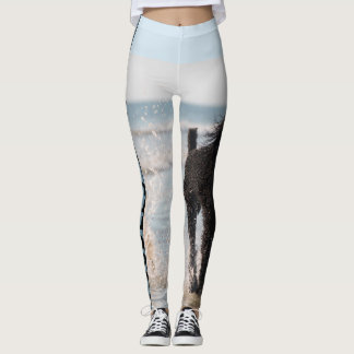 Legging Caneleiras da regra das caniches
