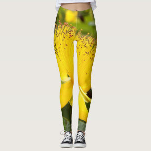 Legging Caneleiras de Calcyinum do Hypericum