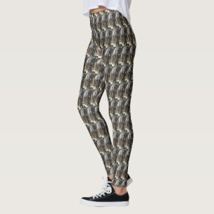 Legging Caneleiras do ELEFANTE