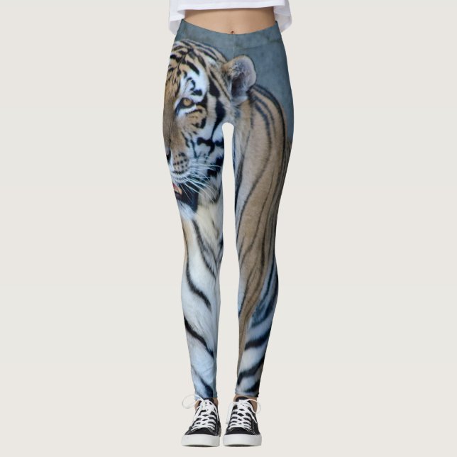 Legging Caneleiras do tigre Siberian (Frente)