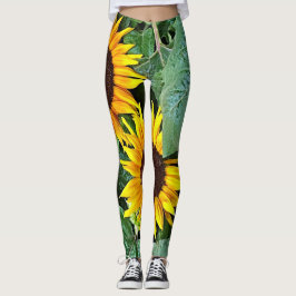 Legging Caneleiras ensolaradas do girassol