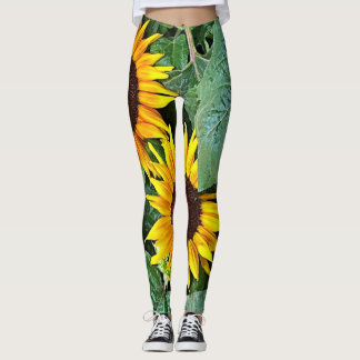 Legging Caneleiras ensolaradas do girassol