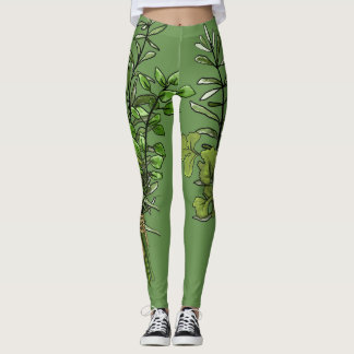 Legging Caneleiras frescas da erva