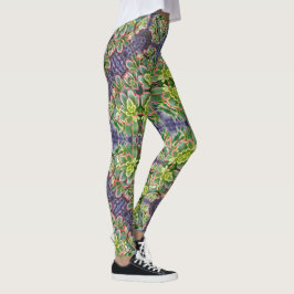 Legging Caneleiras geométricas do Succulent verde