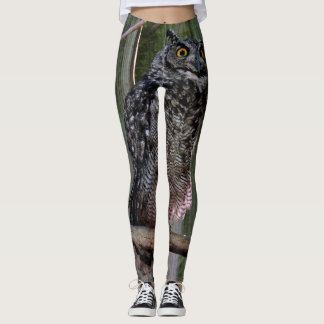 Legging Caneleiras impressionantes da coruja