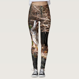 Legging Caneleiras selvagens do design do coelho de coelho