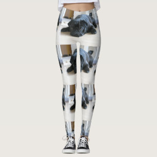 Legging cãozinho preto