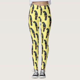 Legging Cartoon de ave cacatua preta de rabo vermelho