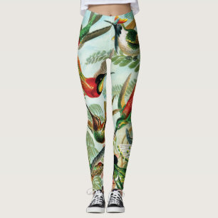 Legging Colibris por Ernst Haeckel