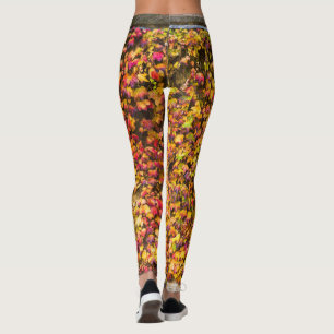 Legging cores de outono dourado parede de hera