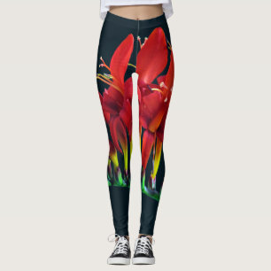 Legging Crocosomia Lucifer Montbretia Floral
