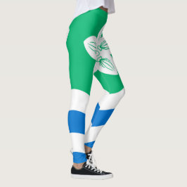 Legging Cumberland (condado do Reino Unido)
