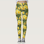 Legging Daffodils amarelos do primavera<br><div class="desc">Estas caneleiras chiques caracterizam uma foto bonita de daffodils amarelos do primavera na flor completa.  Adição perfeita a seu wardrobe do primavera! Projetado pelo ©Tim mundialmente famoso Coffey do artista.</div>