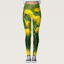 Legging Dandelion Flowers Dandelions Amarelo Verde