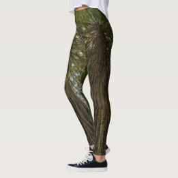 Legging de Foto de Floresta Pacífica com Luz Doura