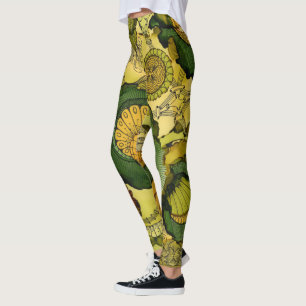Legging Do poço caneleiras talvez