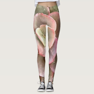 Legging Echeveria Cactus - Pintura acrílica suculenta