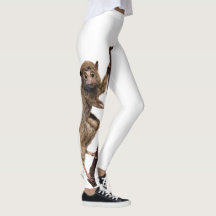 Engraçado Surpreendido Com A Criatura Do Macaco Le