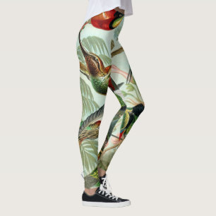 Legging Ernst Haeckel Art Impressão: Trochilídeos