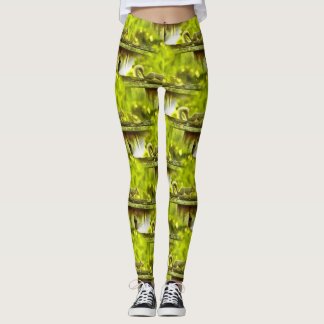 Legging Esquilo