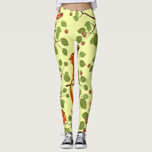 Legging Esquilo vermelho em ramos de avelã.
