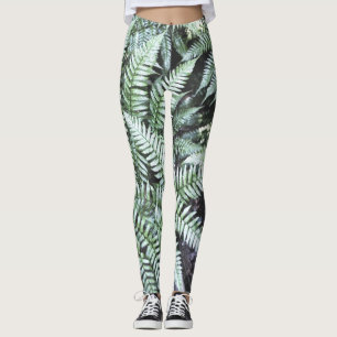 Legging Fern Tropical Green Leaves Plant Woodland Foliage