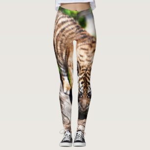 Legging Filhote de tigre que escala para baixo caneleiras