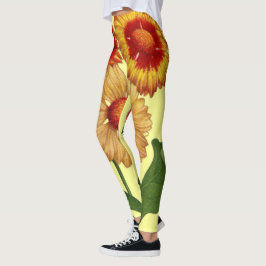 Legging flores de gaillardias amarelas impressão