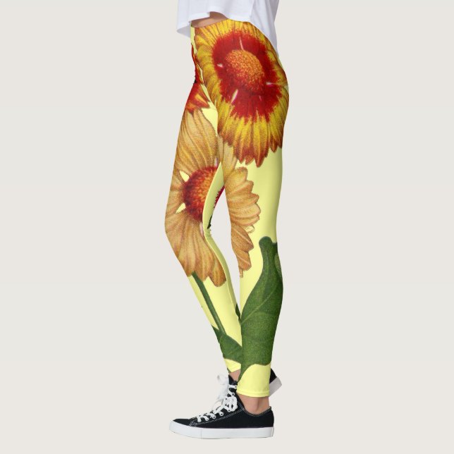 Legging flores de gaillardias amarelas impressão (Esquerda)