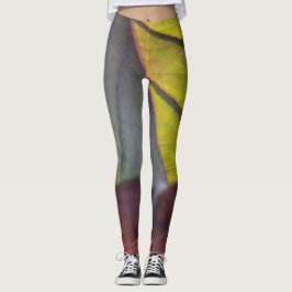 Legging Folhas de outono coloridas