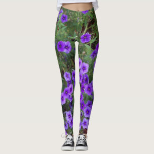 Legging Foto de flores do Phlox púrpura em