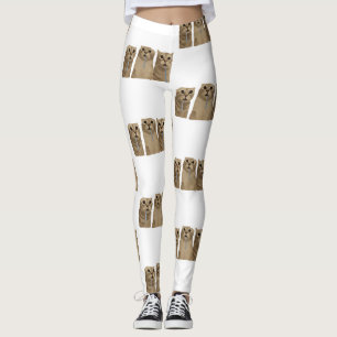 Legging Gatos Bobos Triplos Babões Meme