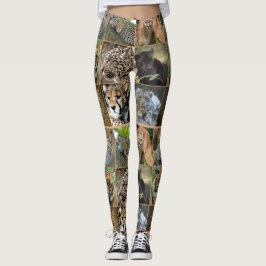 LEGGING GATOS GRANDES