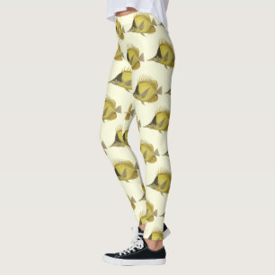 Legging Gelon Tropical Amarelo Longirostris, Peixes Vintag