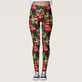Legging Hollyberry