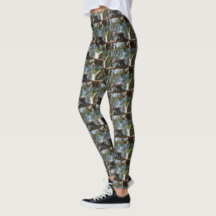 Legging Homem Australiano Koala Urso Em Movimento,