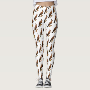 Legging Ilustração de desenho animado de ave-águia-gavião-