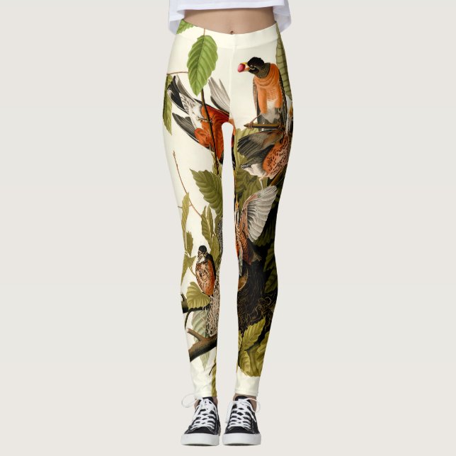 Legging Ilustração de Pássaros Robin Wildlife da América d (Frente)