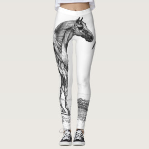 Legging Imagem retro da anatomia do músculo do cavalo