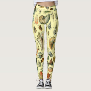 Legging Impressão de Conchas Vintage Adolphe Millot Costei