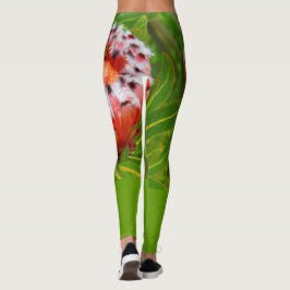 LEGGING KARIKARI BLOOM