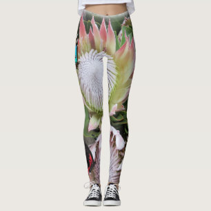 Legging King Protea da África do Sul