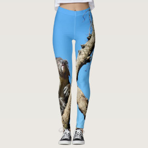 Legging Koala Tem Tempo Para Refletir Sobre A Vida,