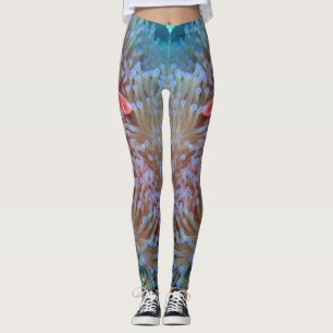 Legging Legendas Nemo