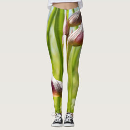 Legging Leggens das Orquídeas de Língua