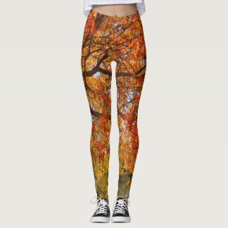 Legging Leggens de queda para mulheres