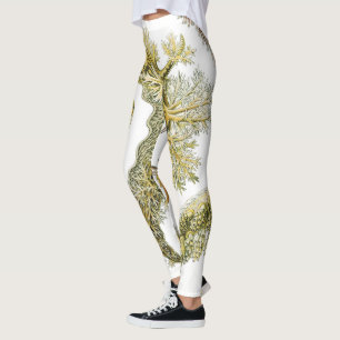 Legging Lesmas Marinhas por Ernst Haeckel, Nudibranchia Vi