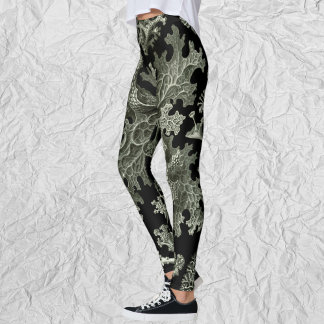 Legging Lichen por Ernst Haeckel, Plantas Naturais Vintage