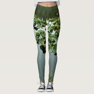 Legging Lily Pond