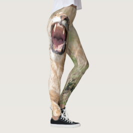 Legging Lioness Roaring